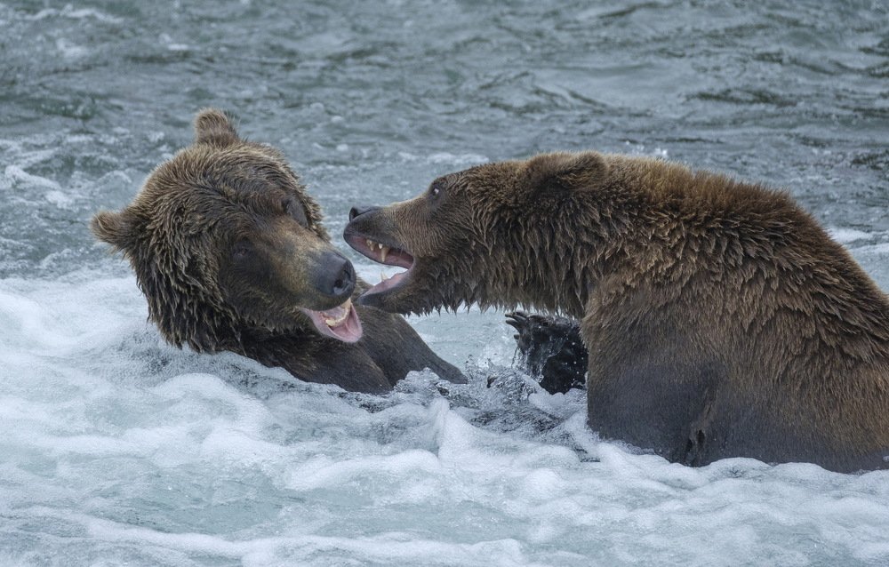 Photograph by Семен Шустер