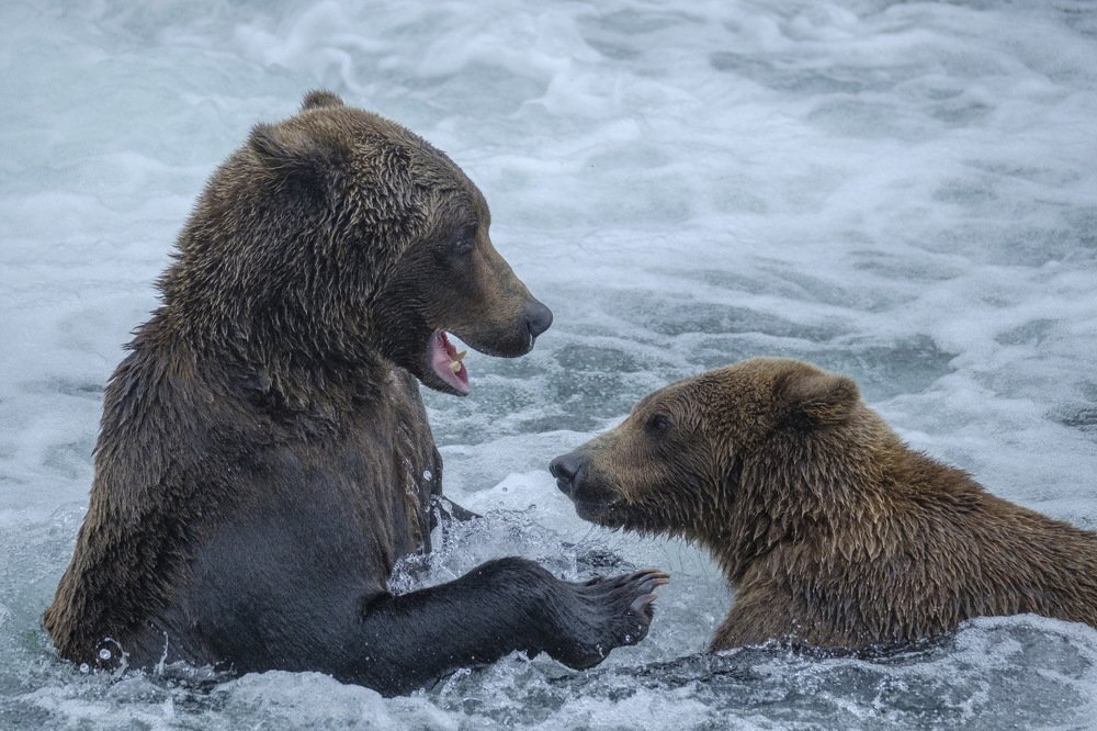 Photograph by Семен Шустер