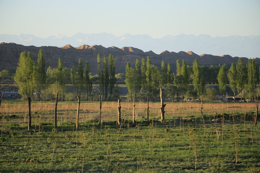 Лето в предгорьях
