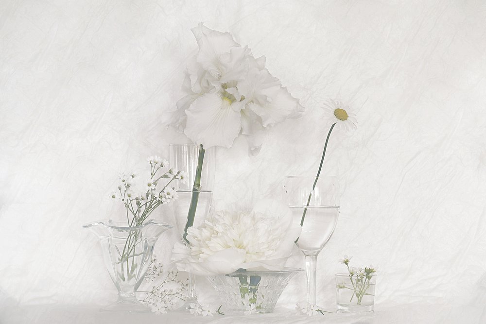 время белых цветов