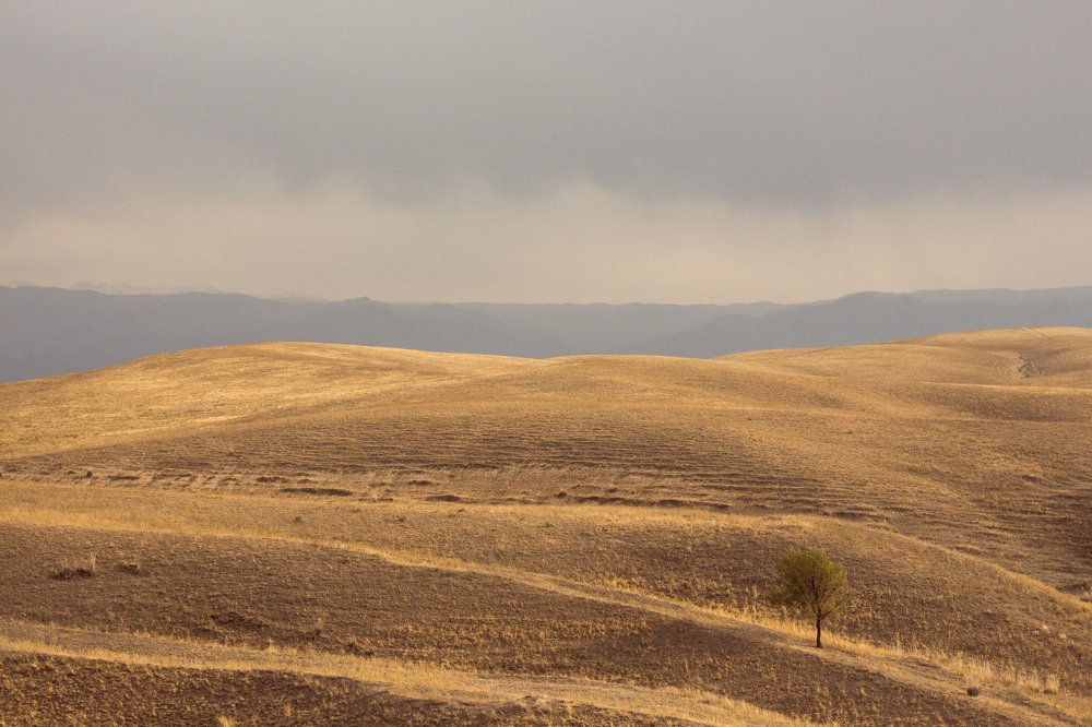 Photograph by Хамит