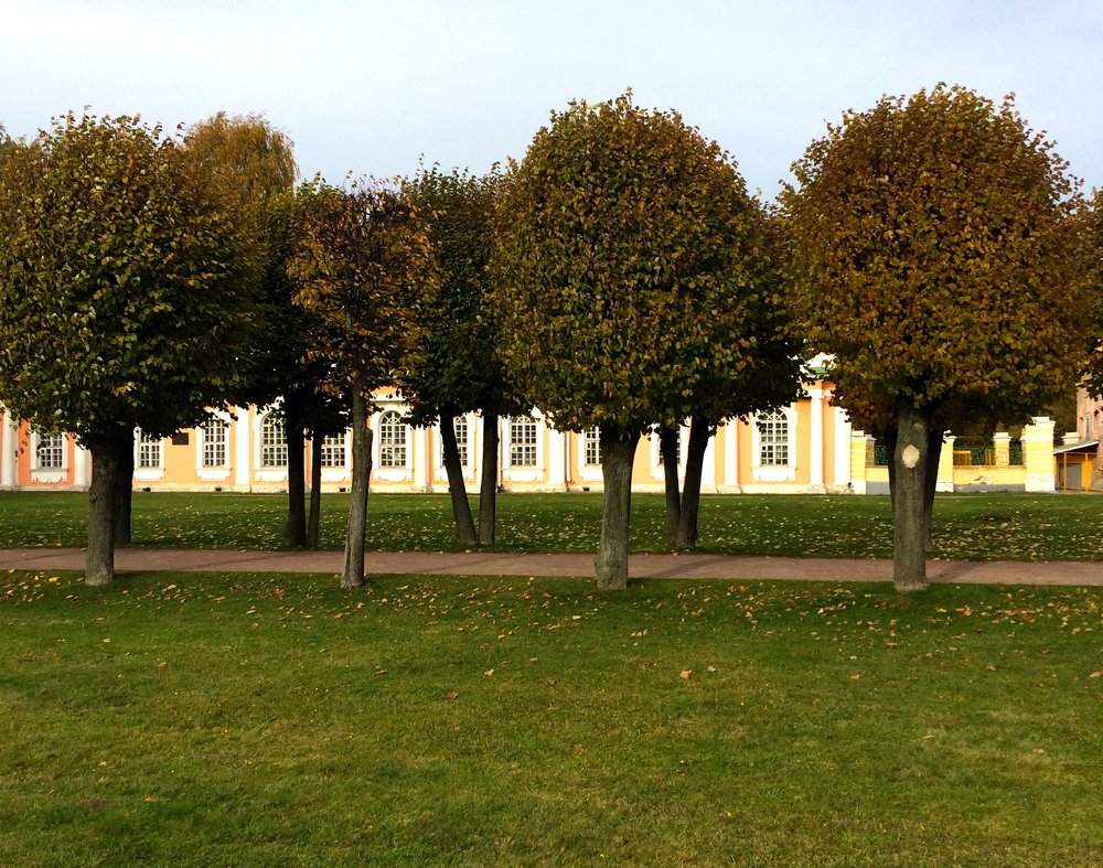 ритмы осени