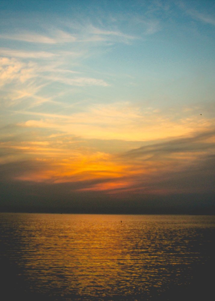 The myriad hues of nature.