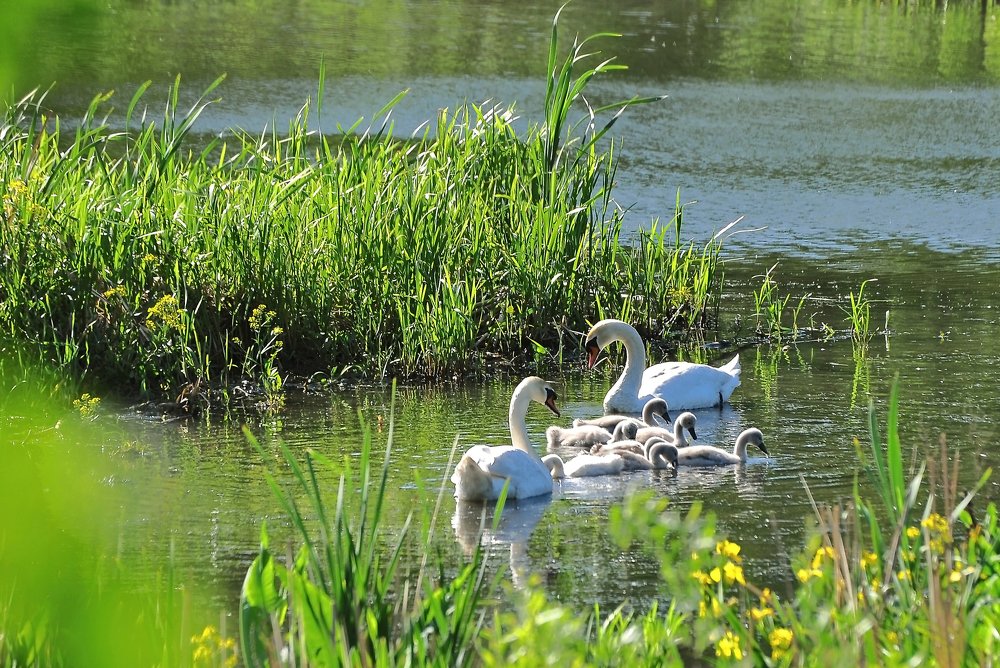 Фотография автора Антип