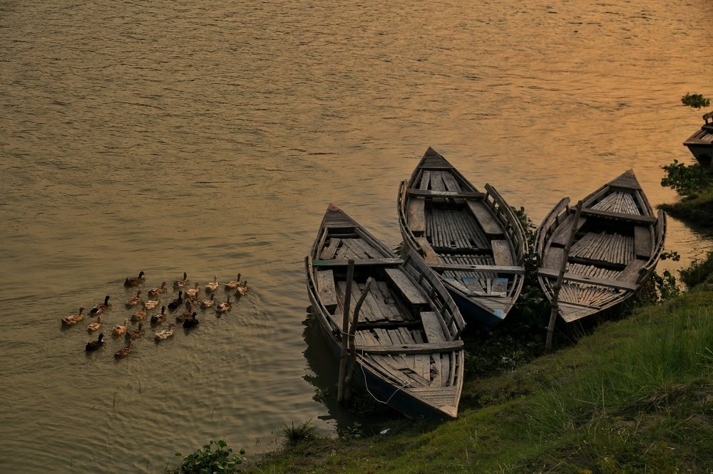 Photograph by Jahidul Nayeem