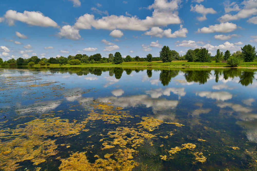 Зеркало. Река Сейм.