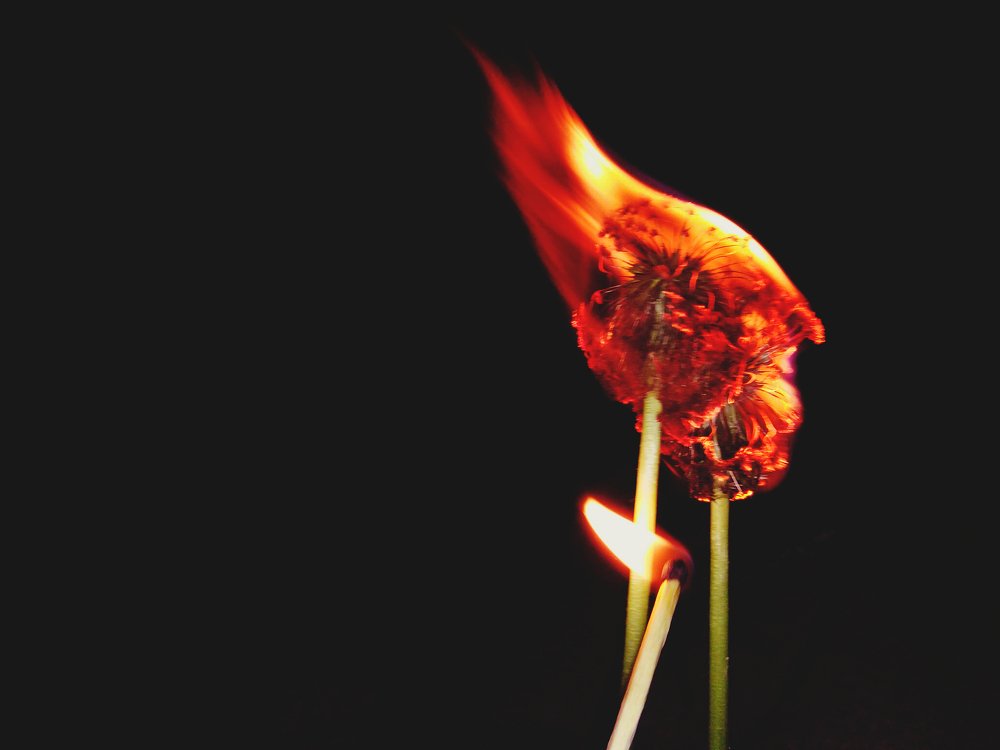 Фотография автора Арканникова Настя