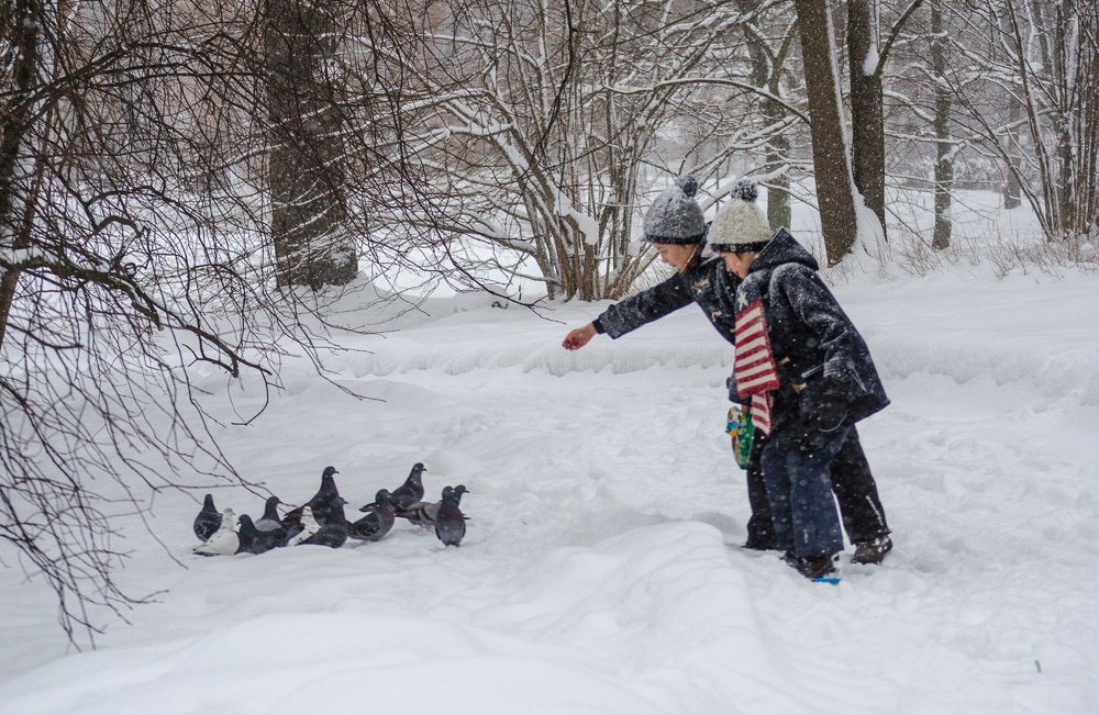 Фотография автора Юрий Макаров