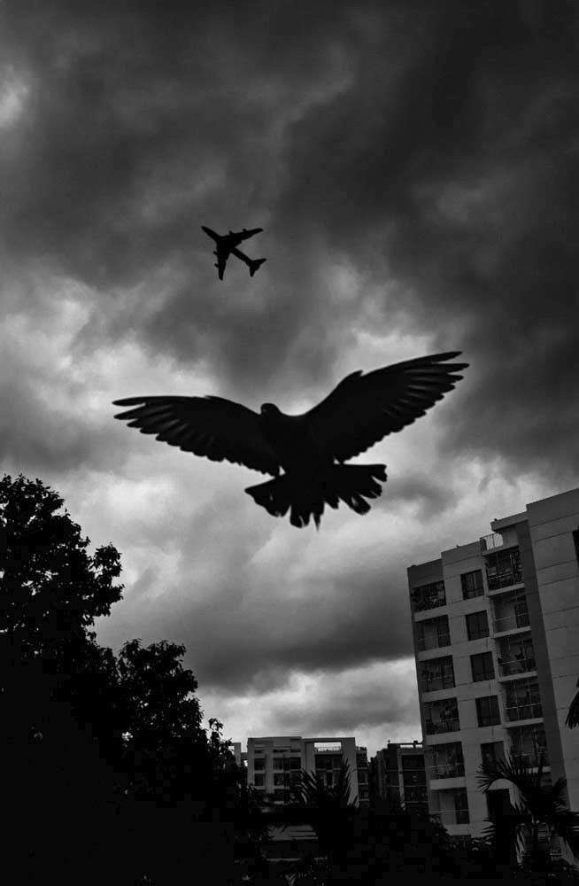 Fly away beyond the limits