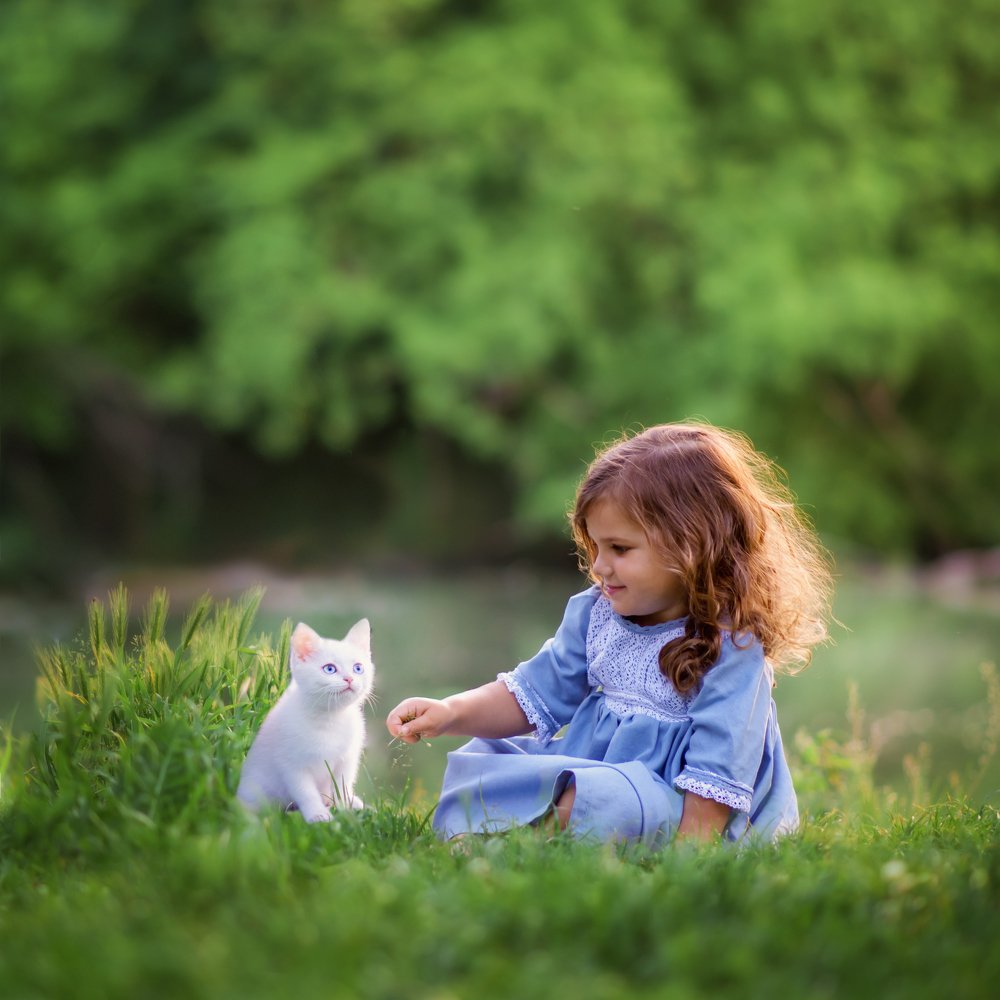 Друзья наши меньшие