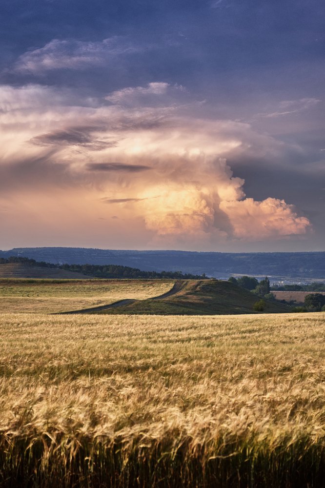 Перед грозой