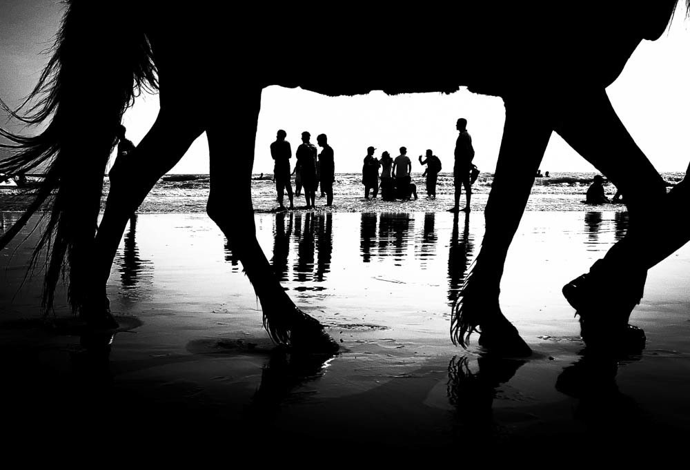 Horse Frame Framed in a Photo Frame