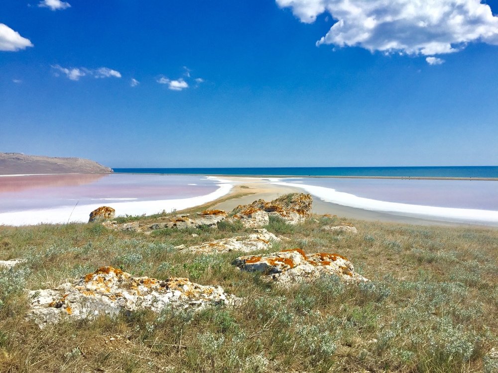 розовое озеро