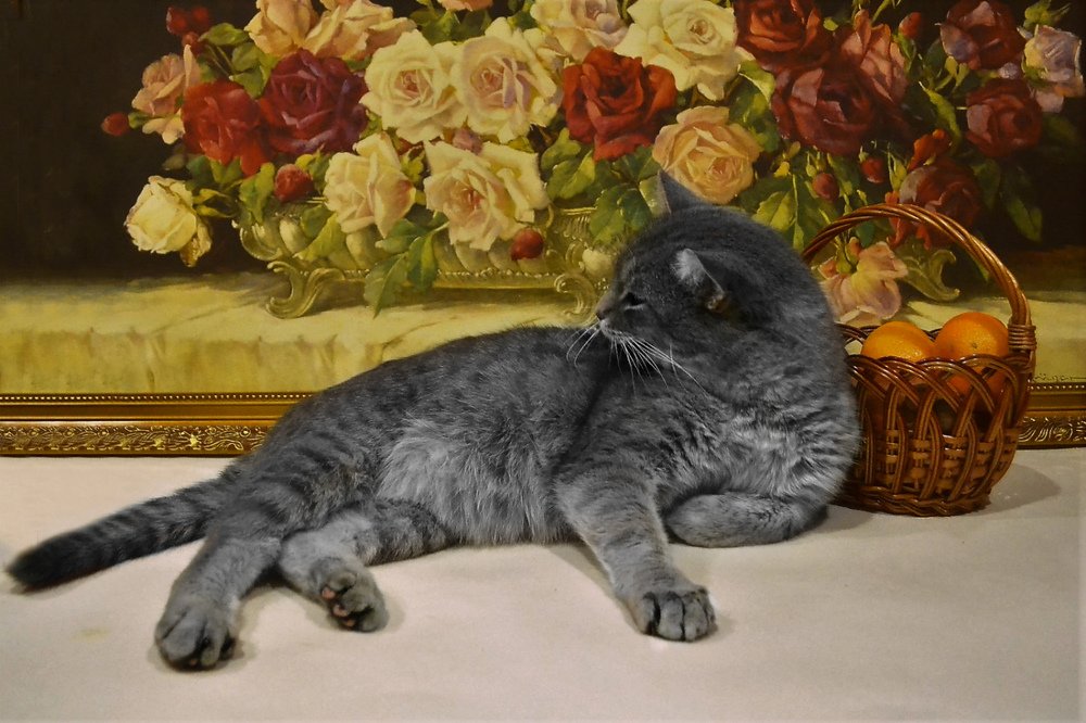 Райская жизнь