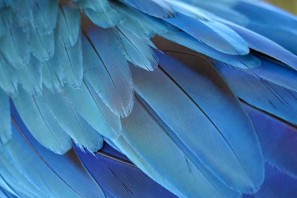 Фотография автора Валентин Обуховский