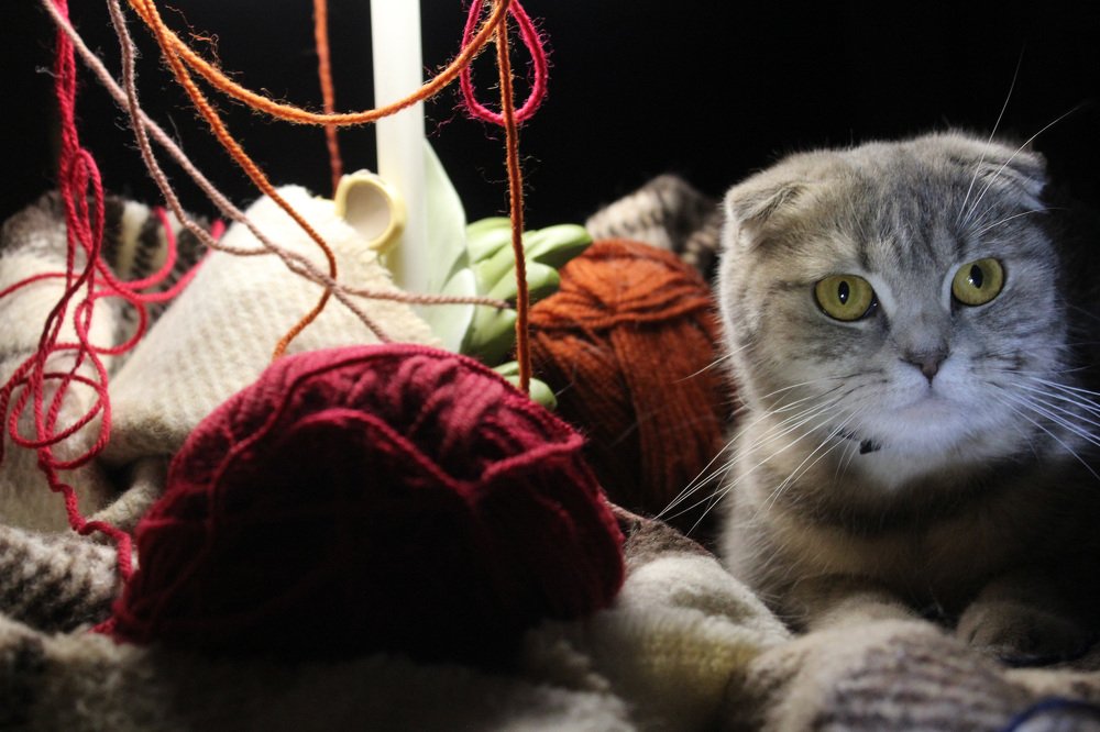 Вязание дело нелегкое