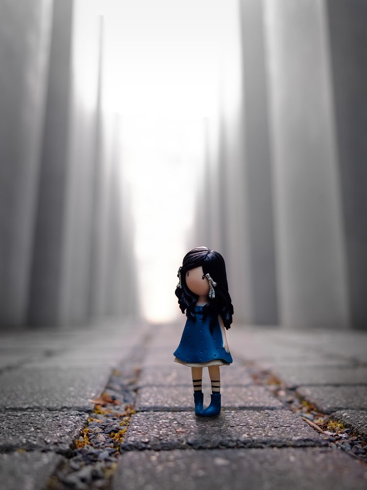 Solitude of Stone jungle