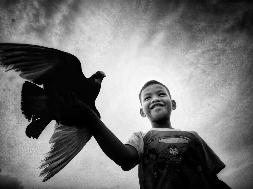 The boy and the bird