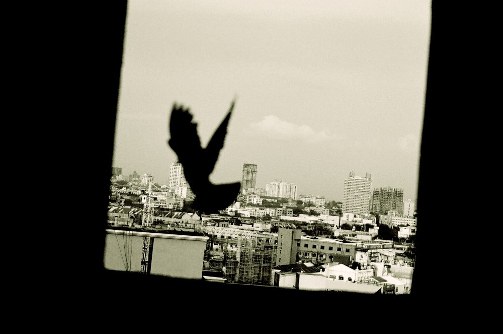 Освобождение