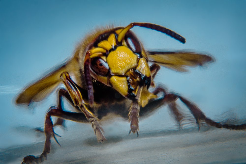 Лето пришло