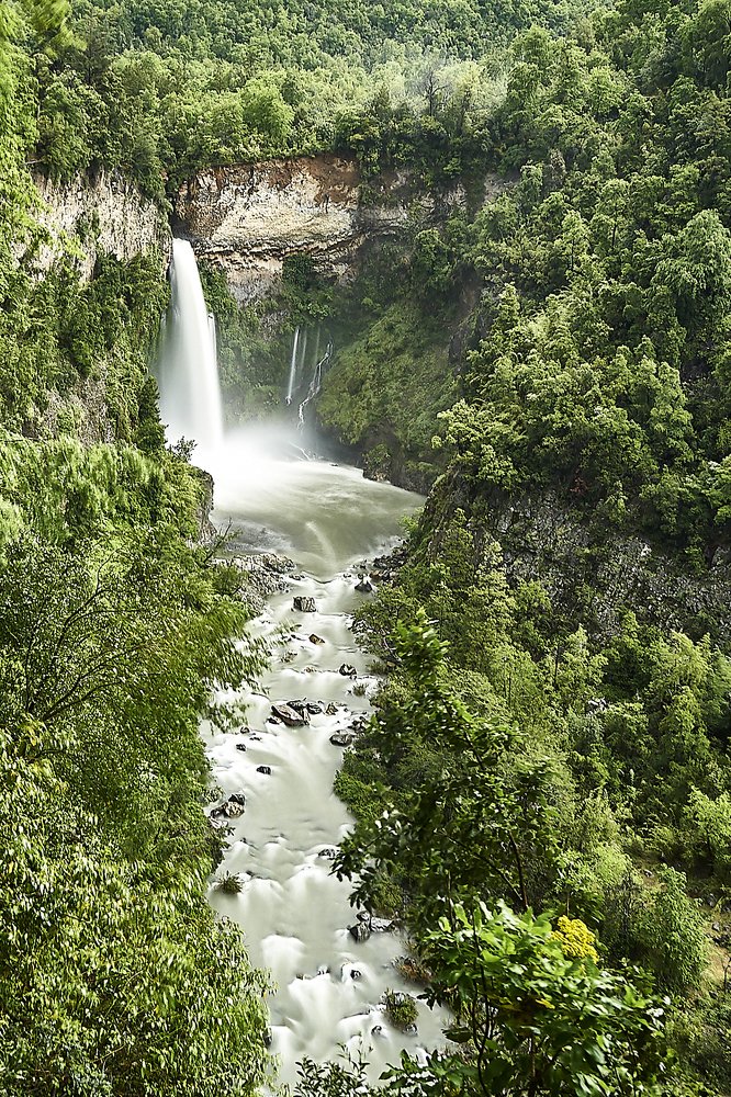 jump of the lioness 2