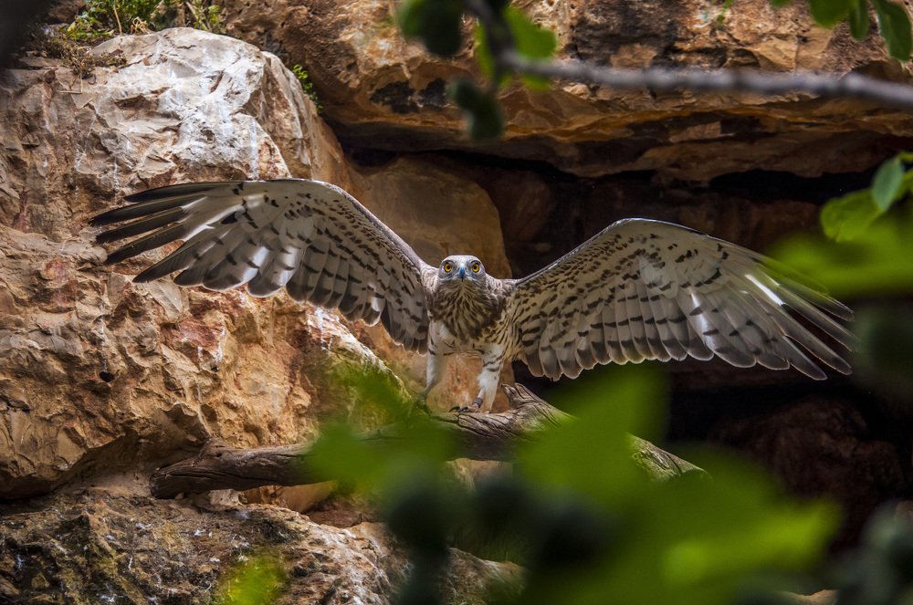 Photograph by Sabina Braginski