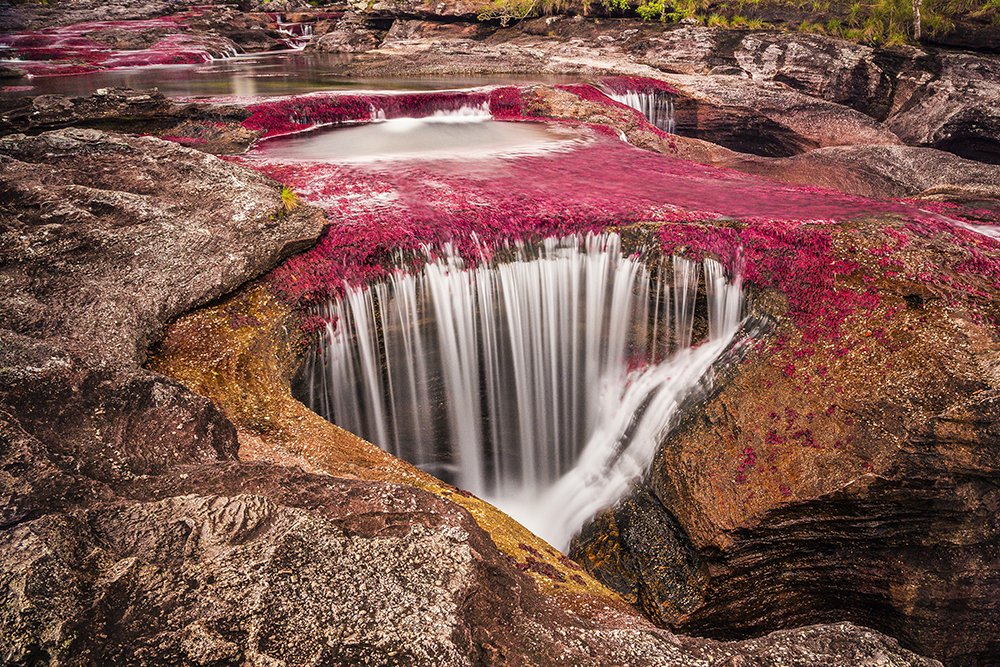 Caño Cristales, the rainboy river