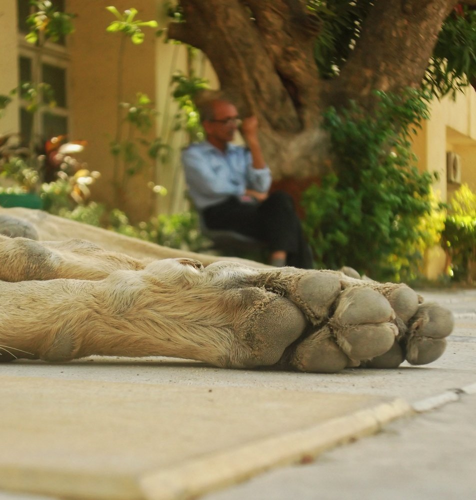 Photograph by Kajol Asnani