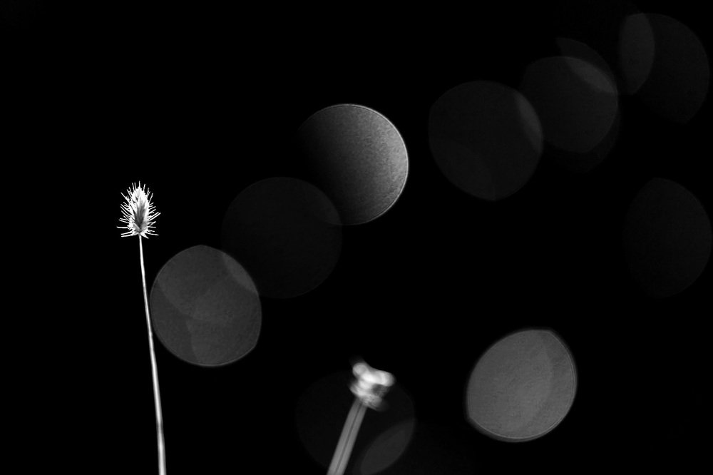 Трансформации