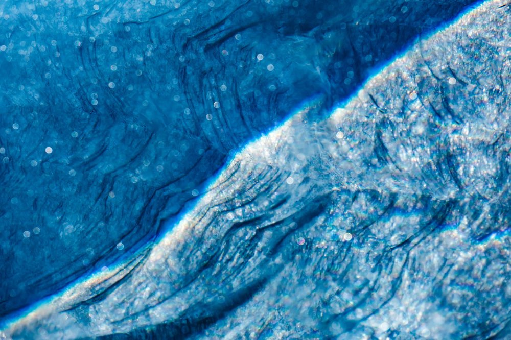 Оттенки единого