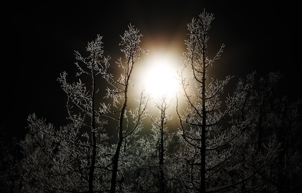 Поклонение солнцу