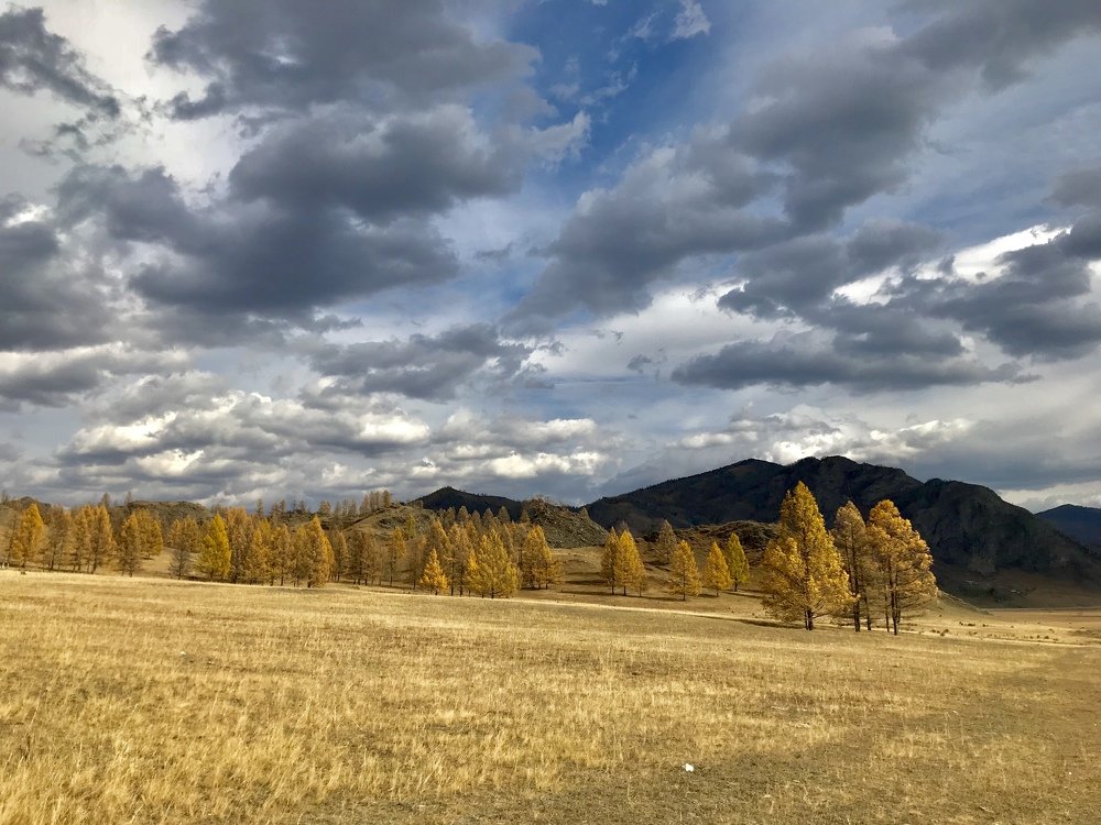 По дороге в Усть-Кан