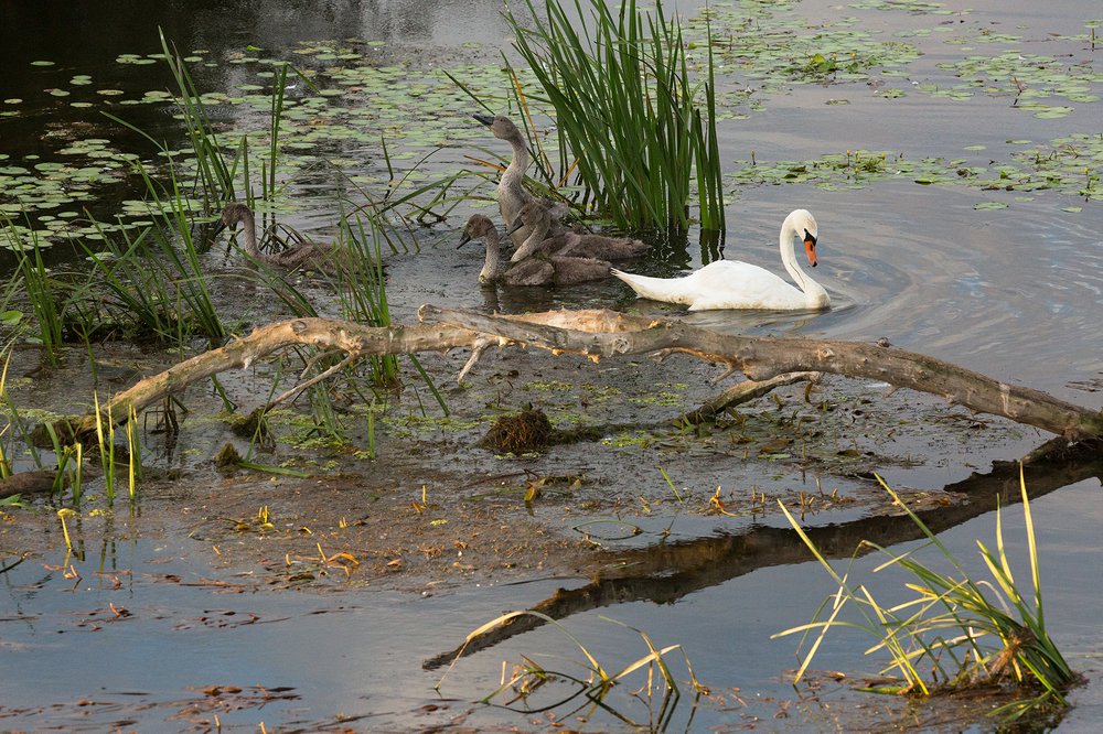 Photograph by Алексей Кашин