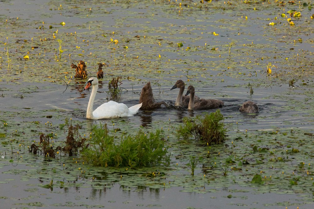 Photograph by Алексей Кашин