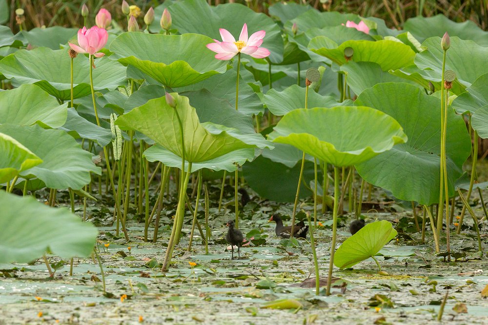 Photograph by Алексей Кашин