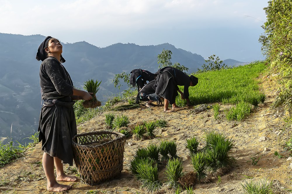 Người phụ nữ vùng núi
