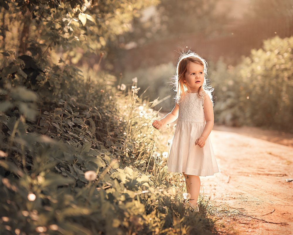 Солнечный заяц