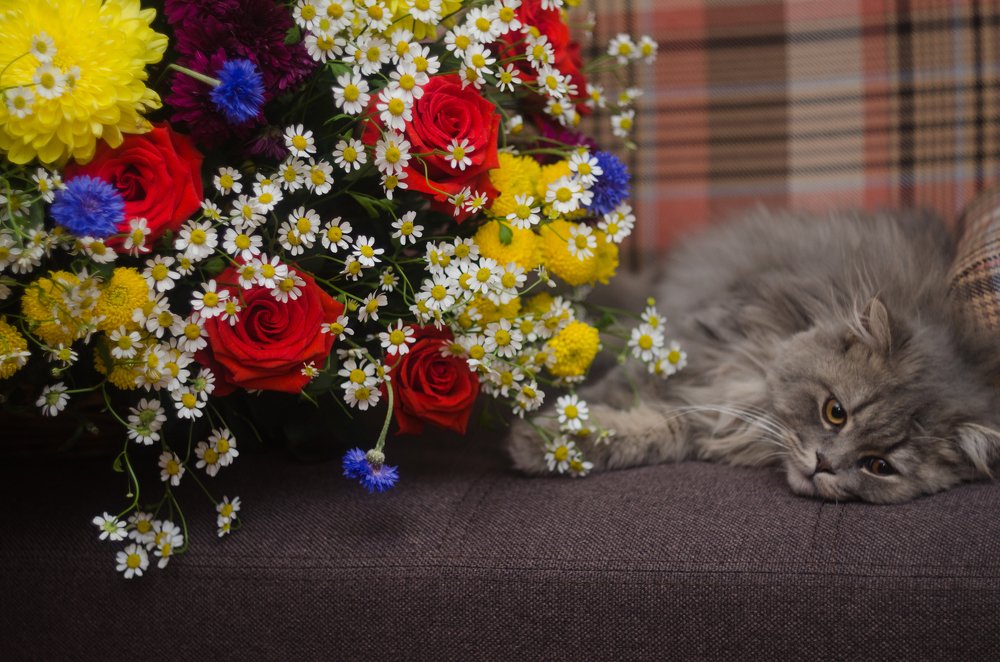 Photograph by Владимир Янчук