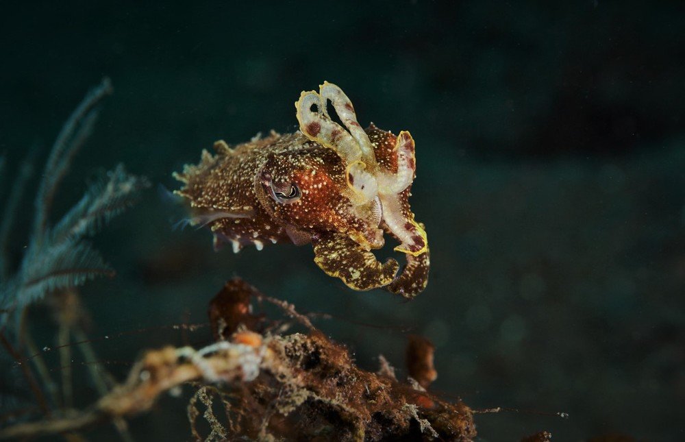 Photograph by Наталия Маслова