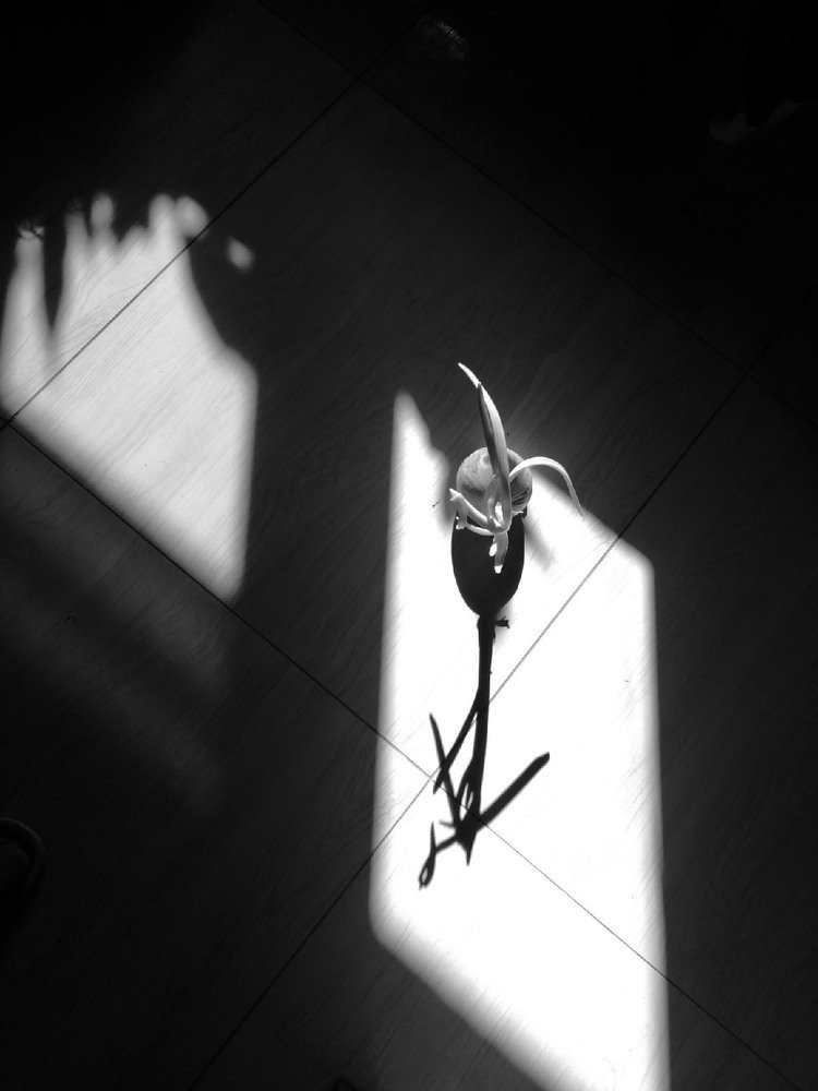 Photograph by Галеева Юлия