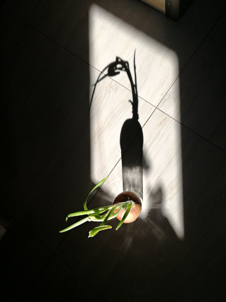 Photograph by Галеева Юлия