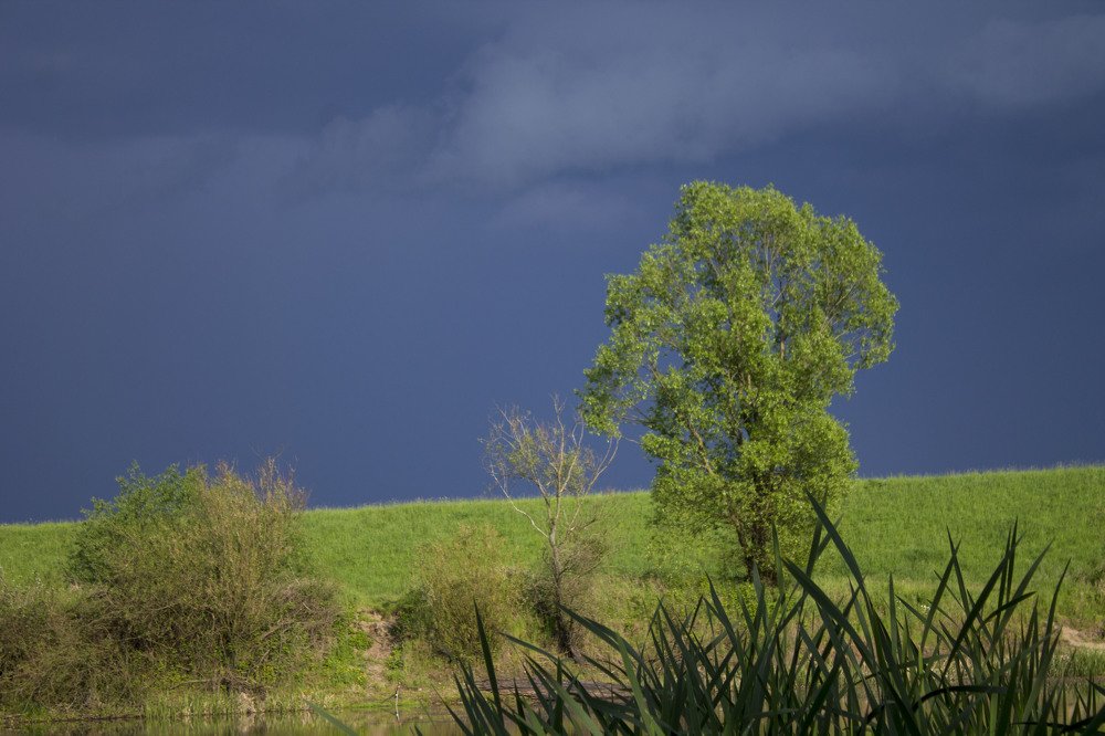 перед дождём