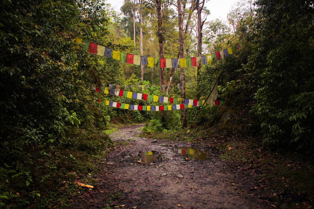 Lonely path