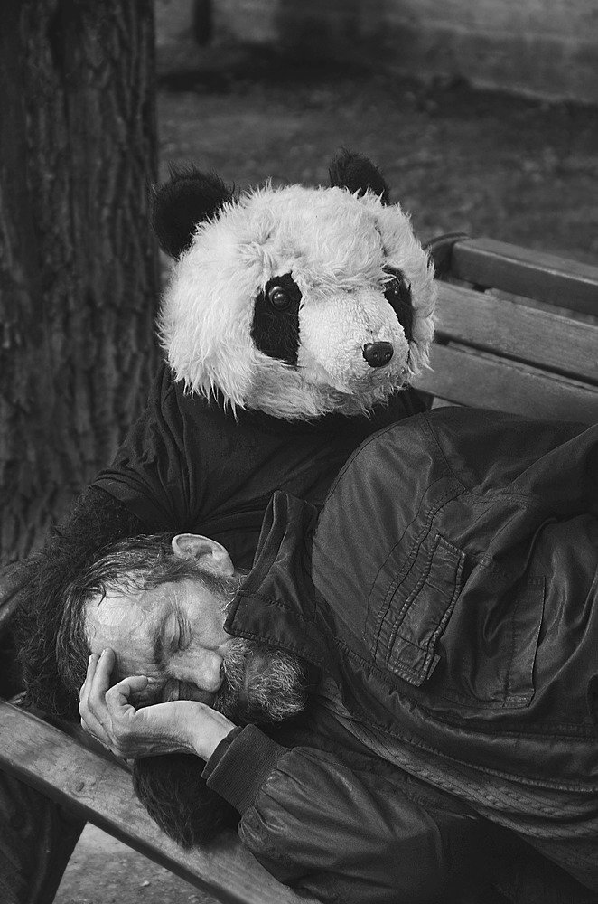 Старинные друзья