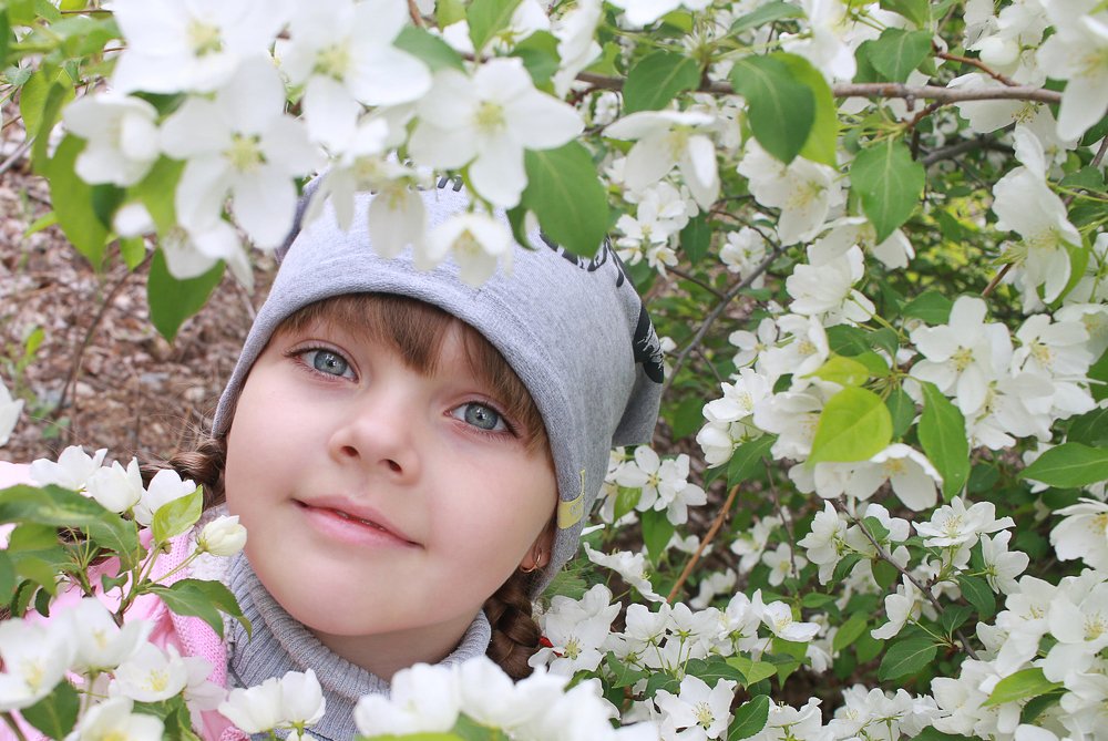 Глаза фантазии