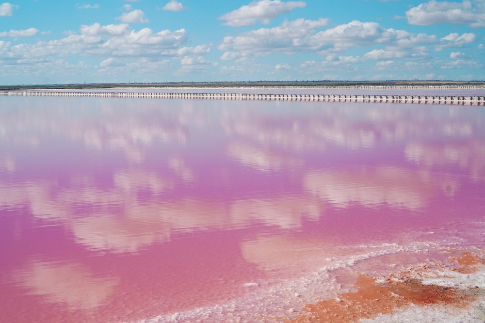 Сассык-Сиваш