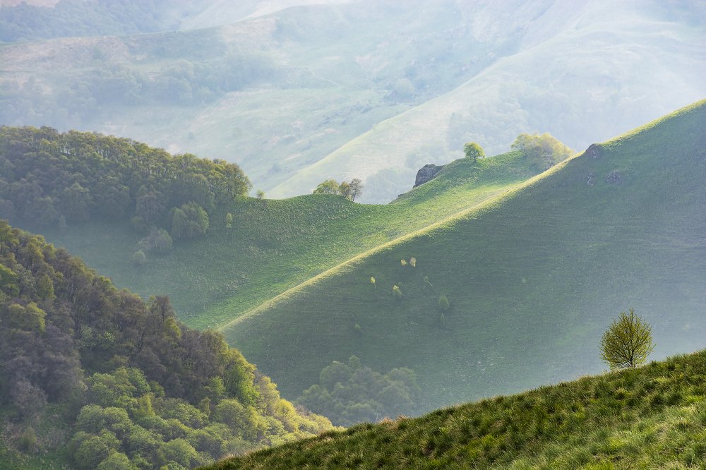 Photograph by Дмитрий Новоселов