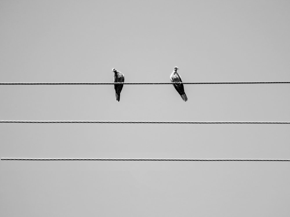 Фотография автора taher sabahi