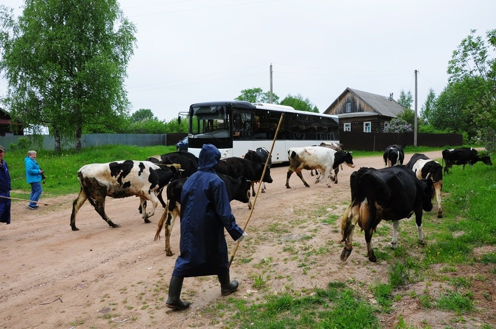 встреча в пути