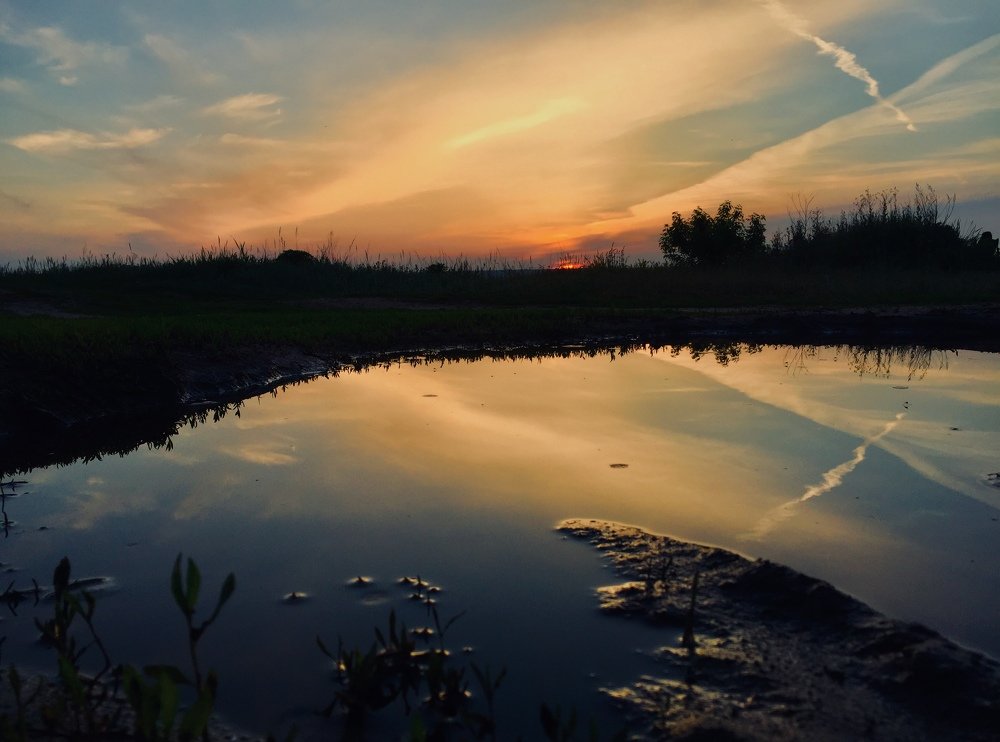 Живописная лужа